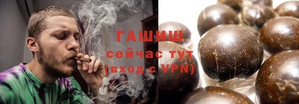 стаф Бородино