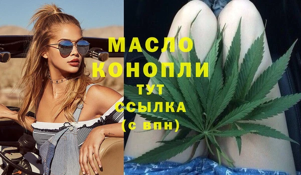 стаф Бородино