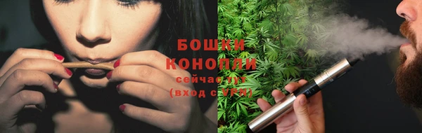 стаф Бородино