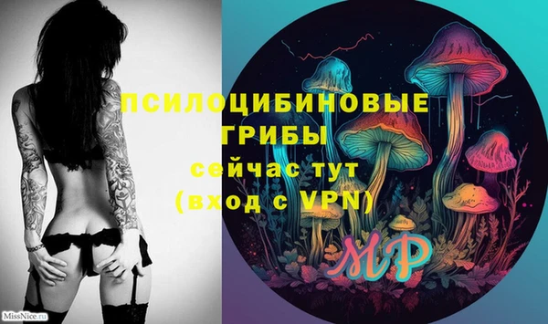 стаф Бородино