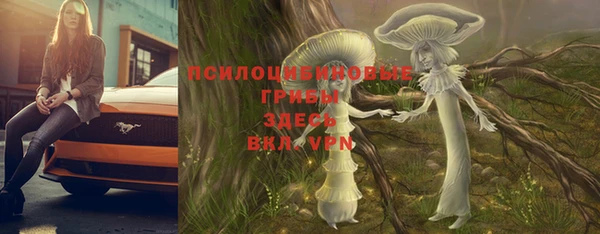 прущая мука Богданович