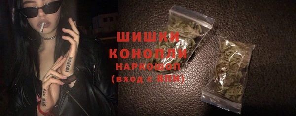стаф Бородино